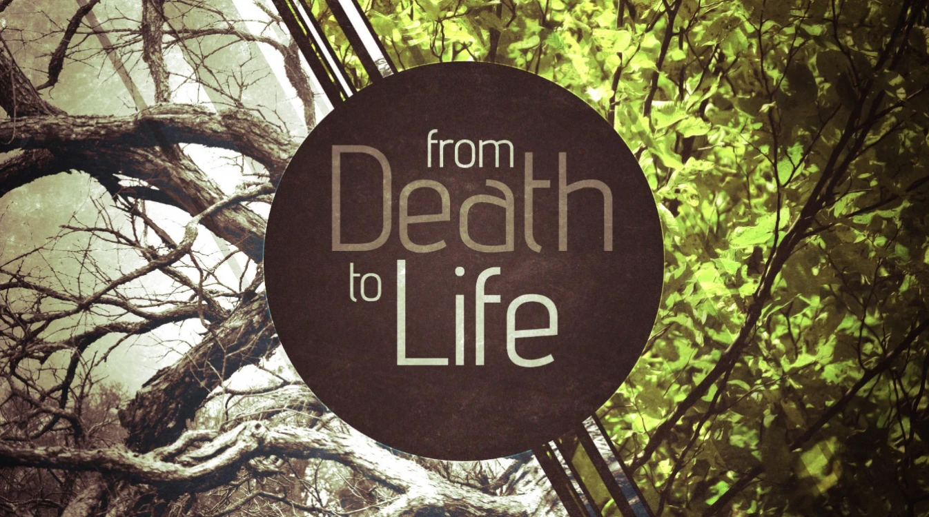From Life to Death